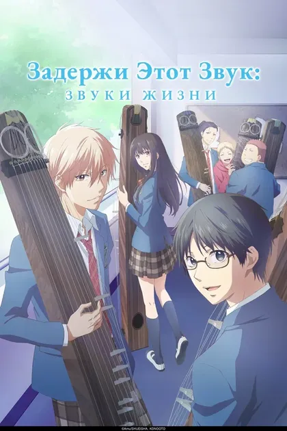 Постер Задержи этот звук: Звуки жизни